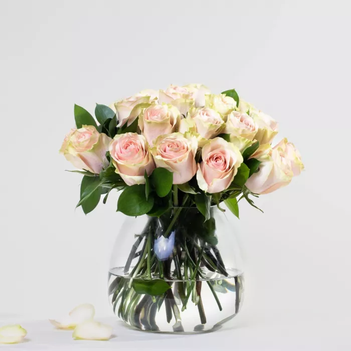 Simply 24 Peachy Pink Roses