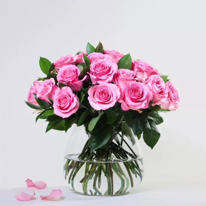 Simply 24 Barbie Pink Roses