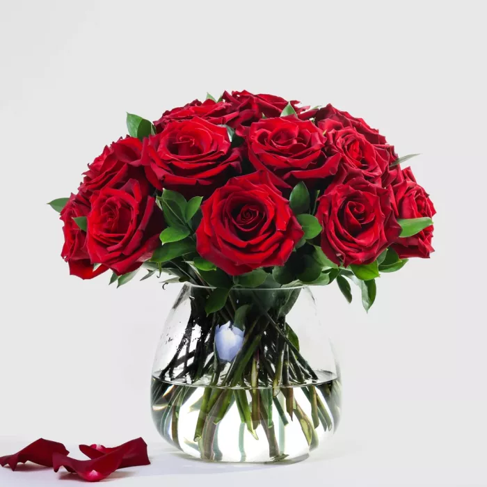 Simply 24 Red Roses