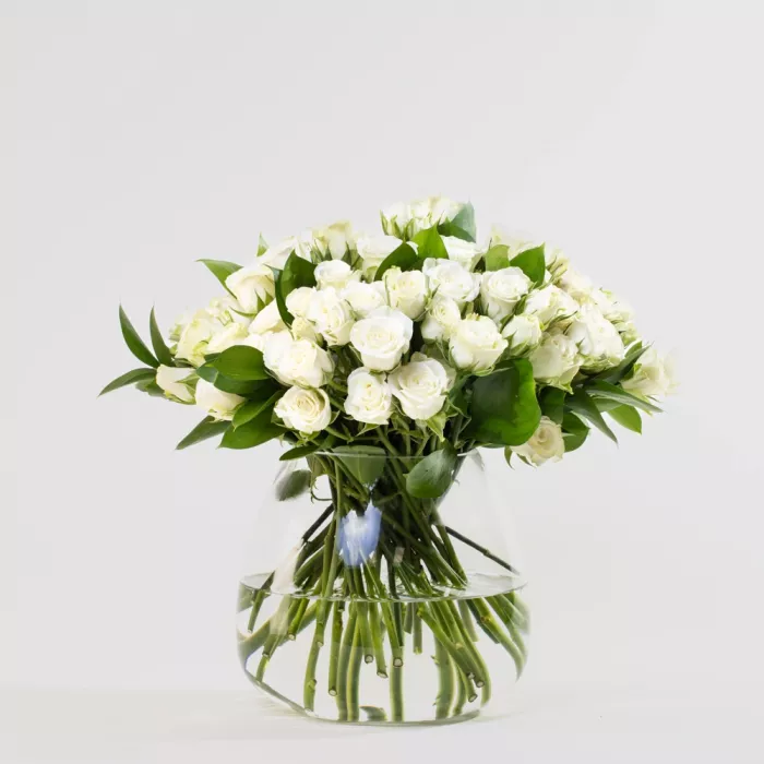 Simply White Baby Roses