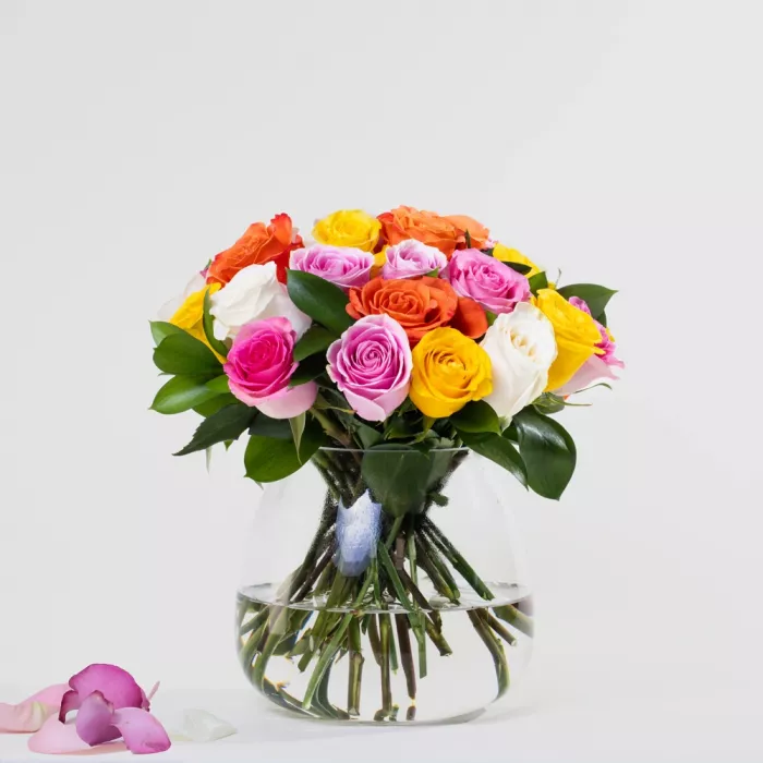 Simply 24 Multicolor Roses