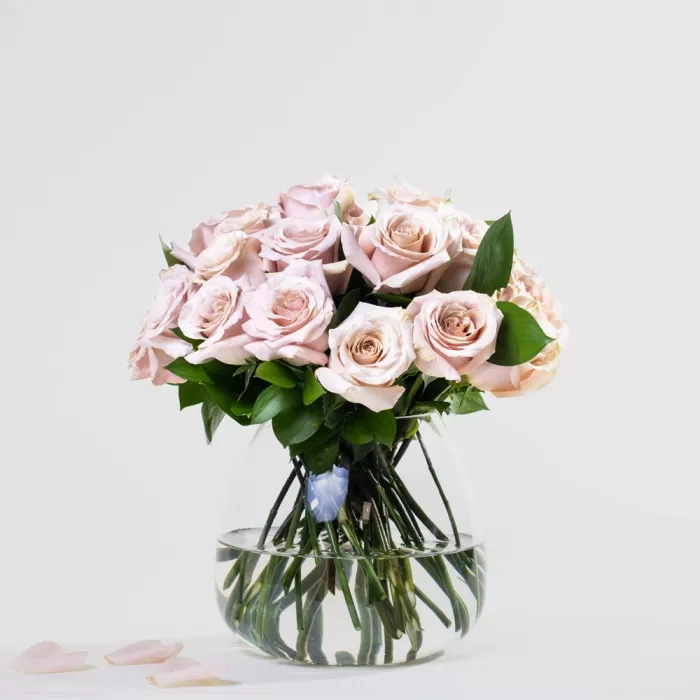 Simply 24 Beige Roses